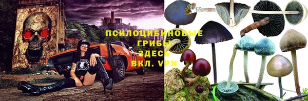 винт Абинск