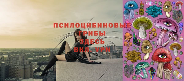 мдпв Абаза