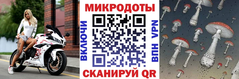 Псилоцибиновые грибы Psilocybine cubensis цены наркотик Севастополь